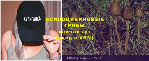 ГАЛЛЮЦИНОГЕННЫЕ ГРИБЫ Белоозёрский