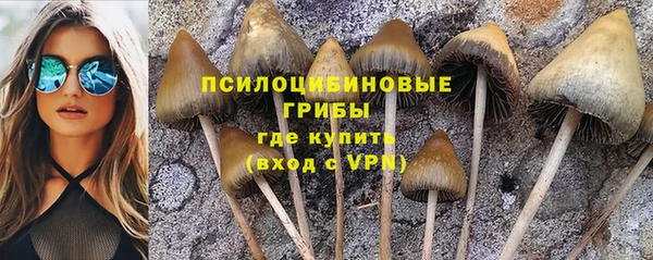марки nbome Белокуриха