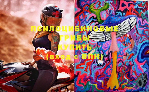 ГАЛЛЮЦИНОГЕННЫЕ ГРИБЫ Белоозёрский